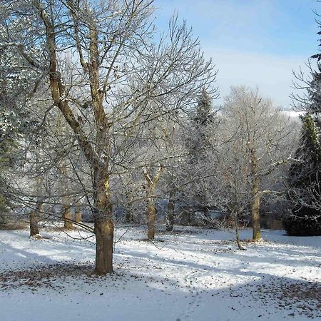 Chambres D'Hotes Le Chalet Condat-sur-Vienne Екстер'єр фото