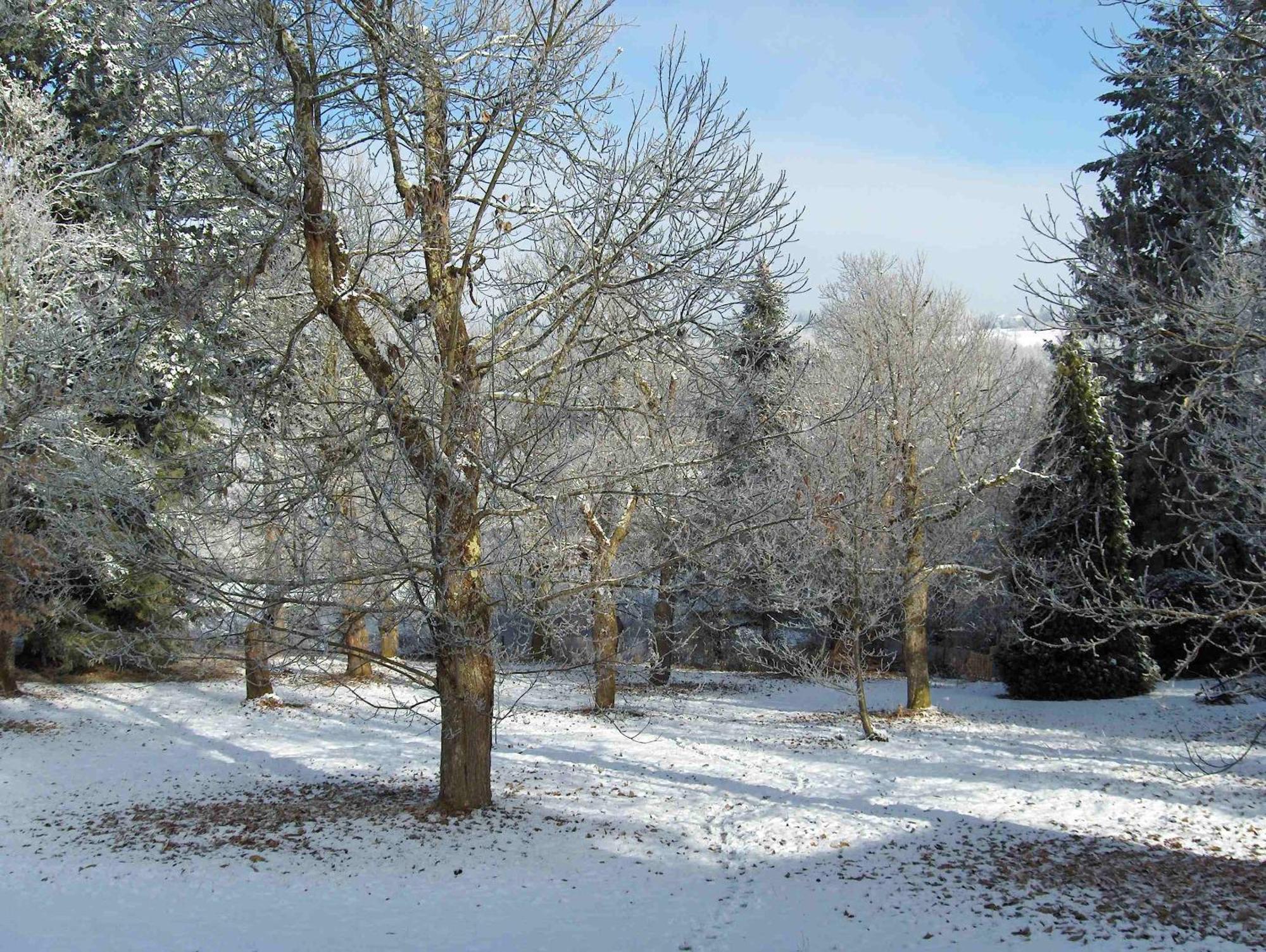 Chambres D'Hotes Le Chalet Condat-sur-Vienne Екстер'єр фото